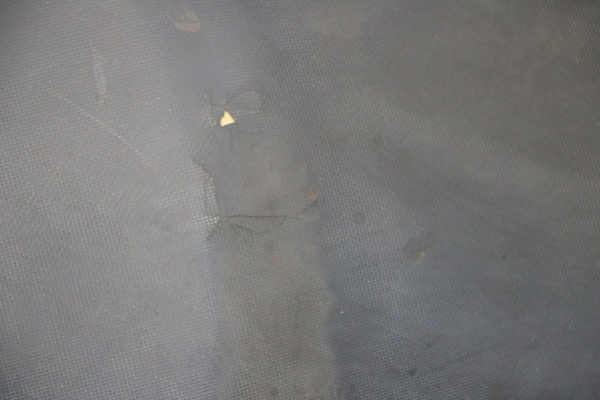 photo de SELLA DAELIM S1 125 (2007 - 2016) - Altra angolazione