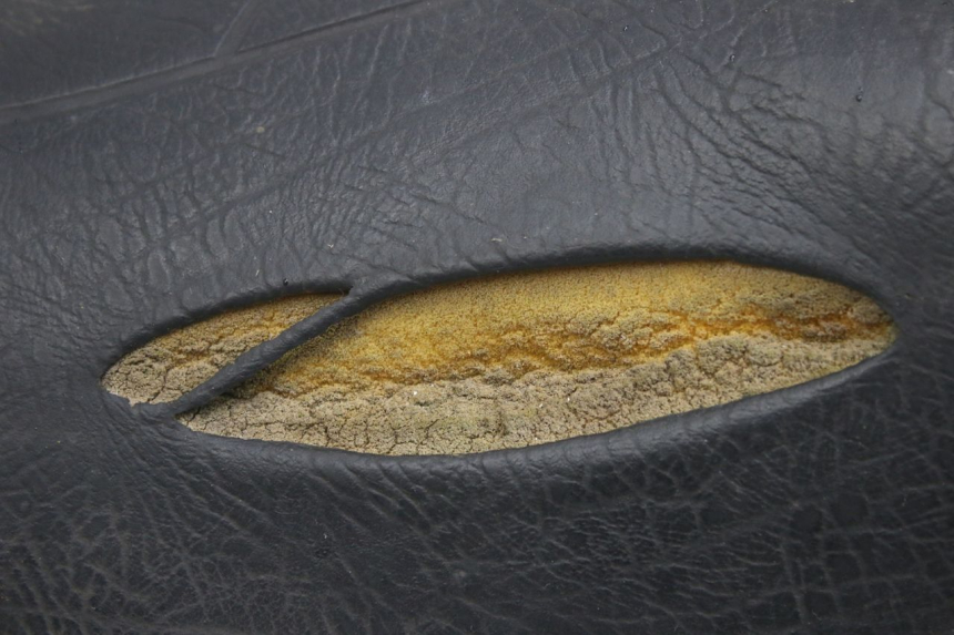 photo de SELLE APRILIA SCARABEO 100 (2003 - 2012) - Altra vista dell'articolo