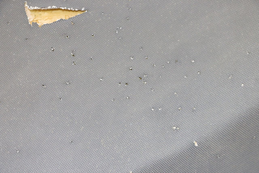 photo de SELLA TNT MOTOR BOSTON 4T 50 (2018 - 2025) - Zoom sullo stato d'uso