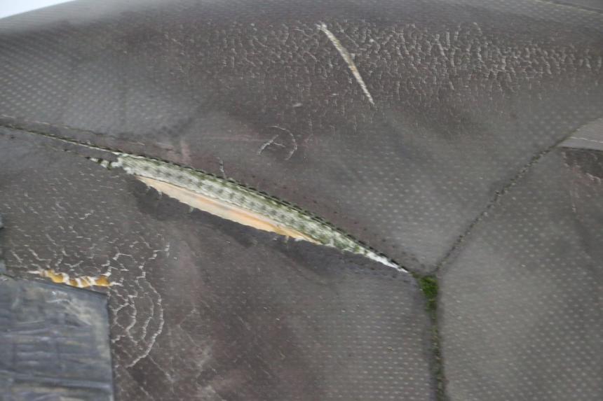 photo de SELLE YAMAHA X-MAX XMAX 250 (2006 - 2009) - Vista d'insieme del prodotto