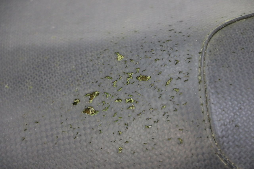 photo de SELLA YAMAHA AEROX 50 (1997 - 2006) - Dettagli dei punti di fissaggio