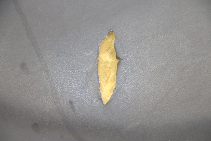 photo de SELLE YAMAHA NEOS NEO'S 4T 50 (2008 - 2016) - Caratteristiche distintive