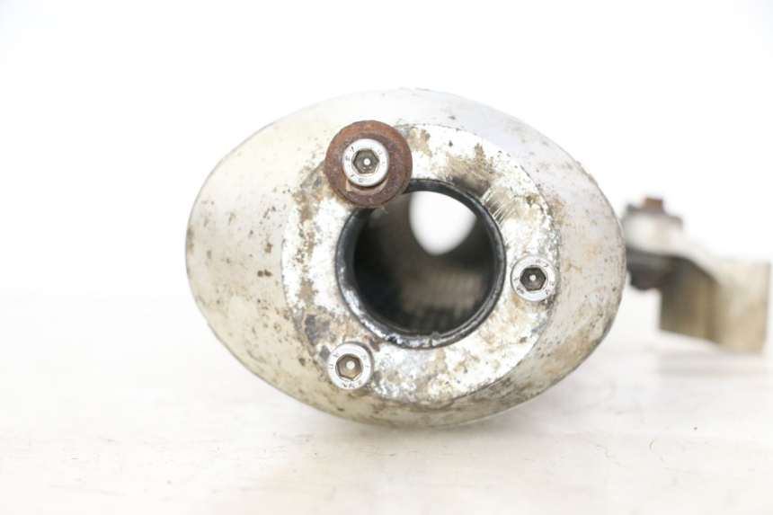 photo de SILENZIATORE KTM SUPERENDURO R 950 (2005 - 2009) - Dettaglio del componente