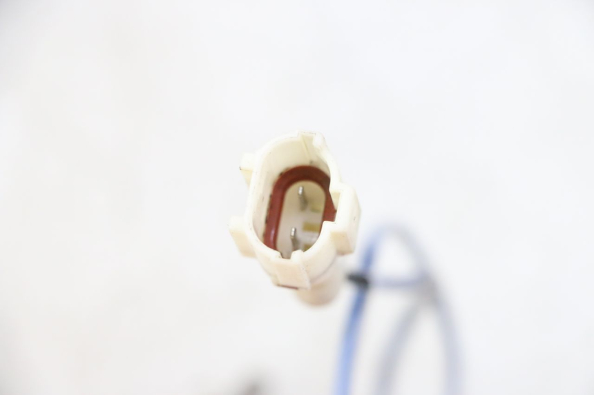 photo de SONDA TNT MOTOR BOSTON 4T 50 (2018 - 2025) - Dettaglio del componente