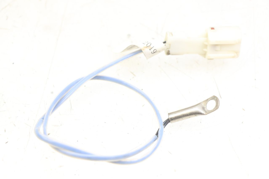 photo de SONDA ORCAL CAVARO 4T 50 (2019 - 2023) - Vista principale