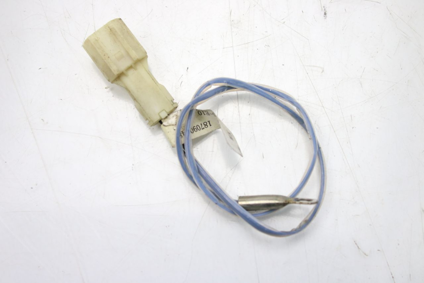 photo de SONDA LONGJIA DIGITA 4T 50 (2019 - 2022) - Vista principale