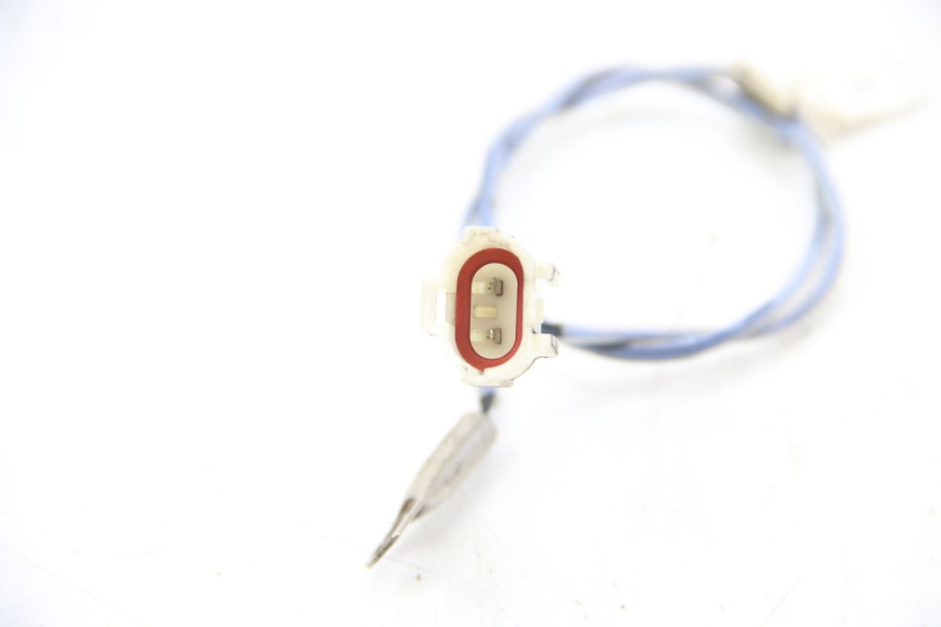 photo de SONDA ORCAL KITE 4T 50 (2019 - 2023) - Dettaglio del componente