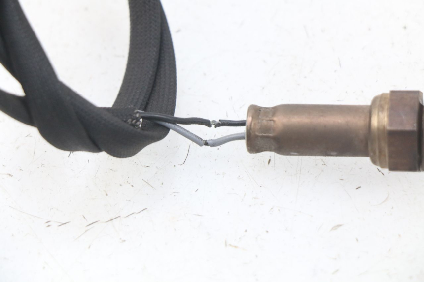 photo de SONDA LAMBDA JM MOTORS MIA 50 (2017 - 2020) - Altra angolazione