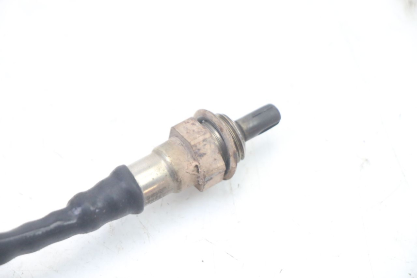 photo de SONDA LAMBDA JM MOTORS OLDIES GT 4T 50 (2018 - 2025) - Altra angolazione