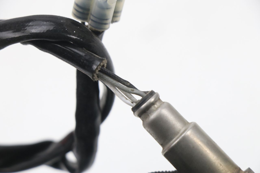 photo de SONDA LAMBDA JM MOTORS SUNNY 50 (2017 - 2020) - Zoom sullo stato d'uso