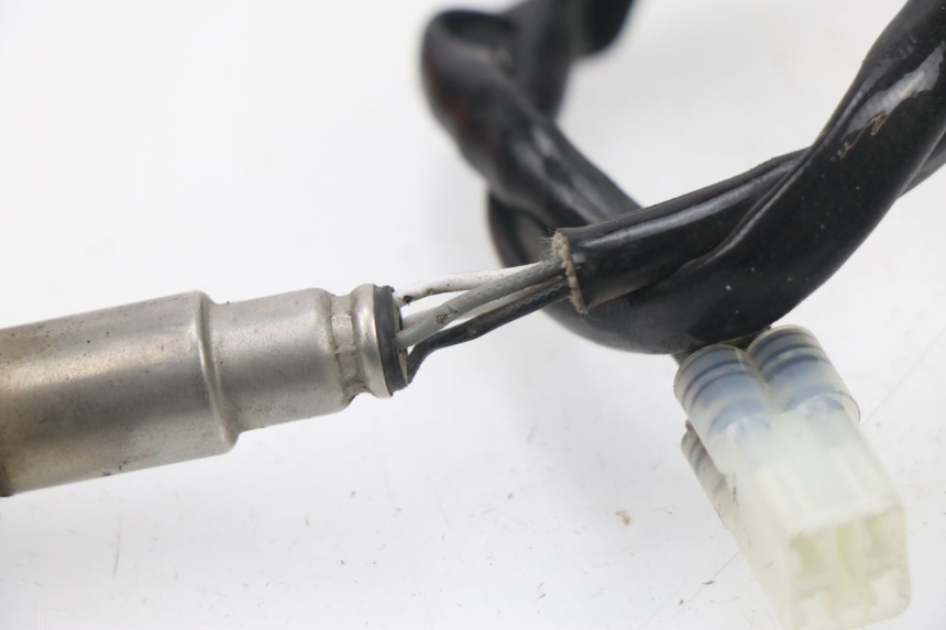 photo de SONDA LAMBDA JM MOTORS SUNNY 50 (2017 - 2020) - Altra angolazione