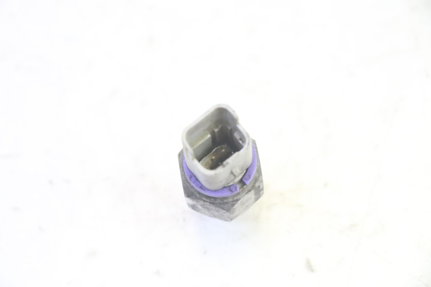 photo de SONDA PRESSIONE OLIO FRENO PIAGGIO MP3 RL 250 (2006 - 2010) - Primo piano tecnico