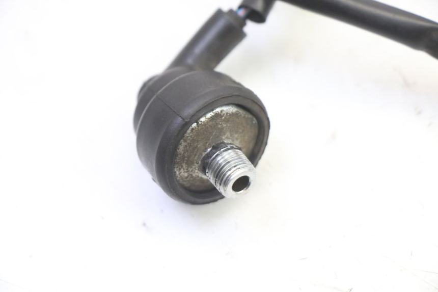 photo de OLIO SENSORE PRESSIONE HONDA NTV DEAUVILLE 650 (2001 - 2006) - Dettaglio del componente