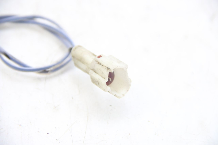 photo de SONDA TNT MOTOR ROMA 10' 4T 50 (2019 - 2022) - Dettaglio del componente