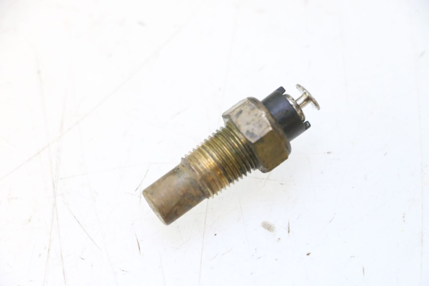 photo de SONDA TEMPERATURA D'ACQUA YAMAHA YP MAJESTY 125 (1998 - 2001) - Vista principale