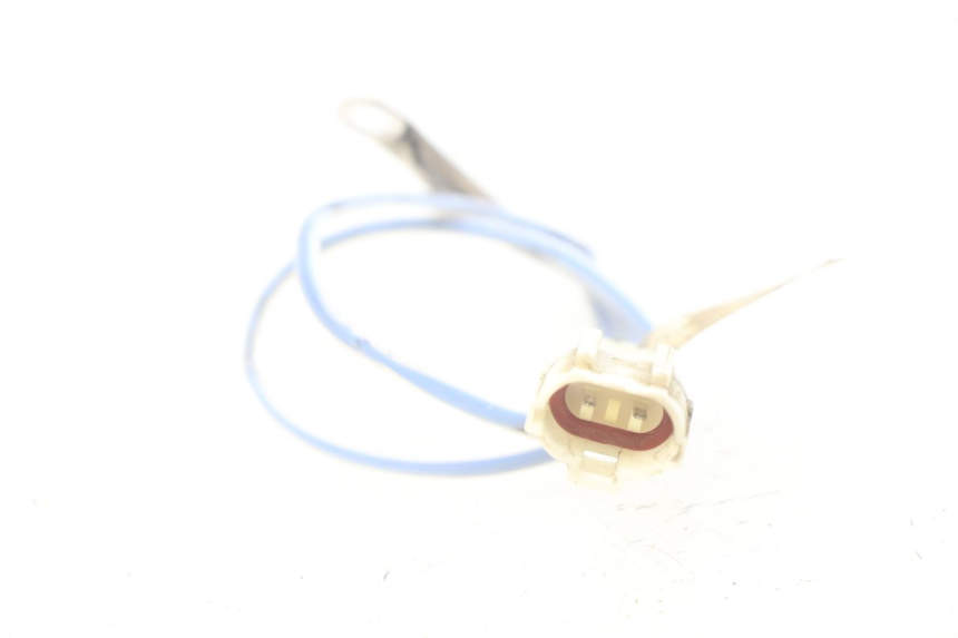 photo de Sonda temperatura esterna TNT MOTOR BOSTON 4T 50 (2018 - 2025) - Dettaglio del componente