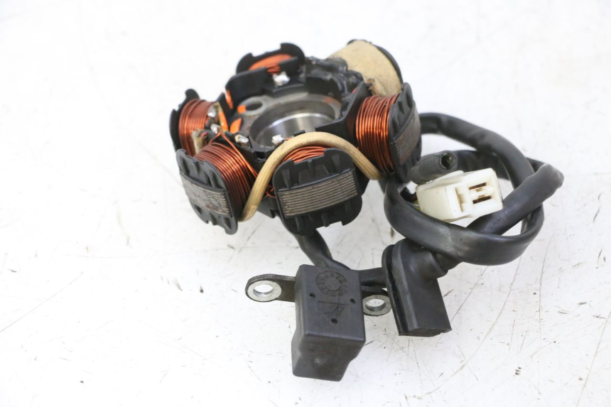 photo de STATORE PEUGEOT CITYSTAR 50 (2013 - 2017) - Primo piano tecnico