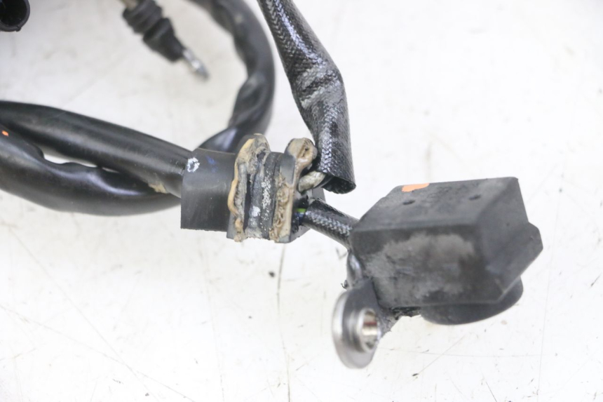 photo de STATORE HONDA CRF-F CRF F 110 (2019 - 2022) - Primo piano tecnico