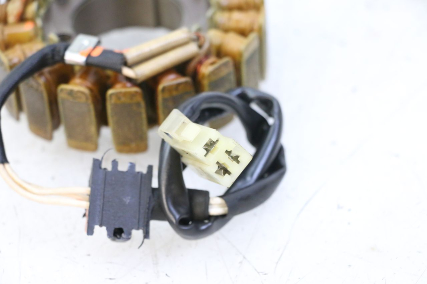 photo de STATORE YAMAHA FZ6 FAZER S2 600 (2007 - 2011) - Vista d'insieme del prodotto