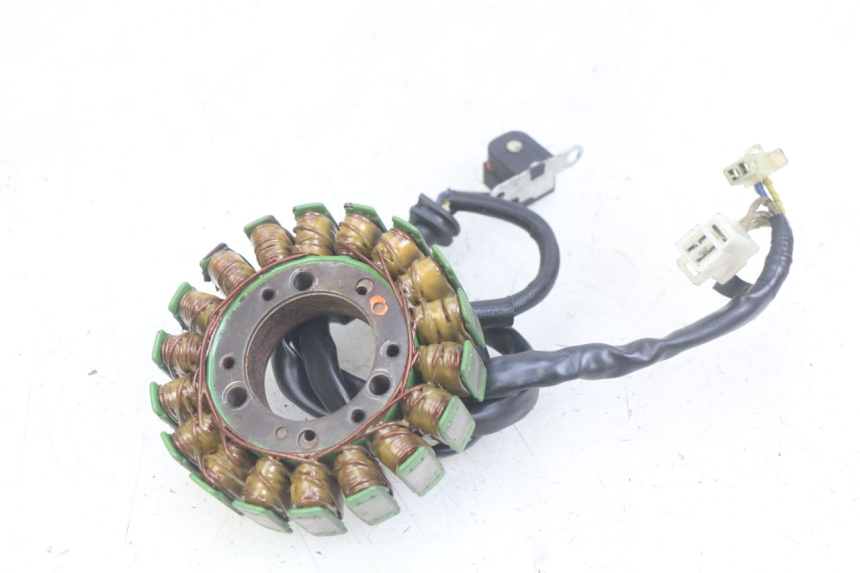 photo de STATOR YAMAHA FZS FAZER 600 (1998 - 2001) - Dettaglio del componente