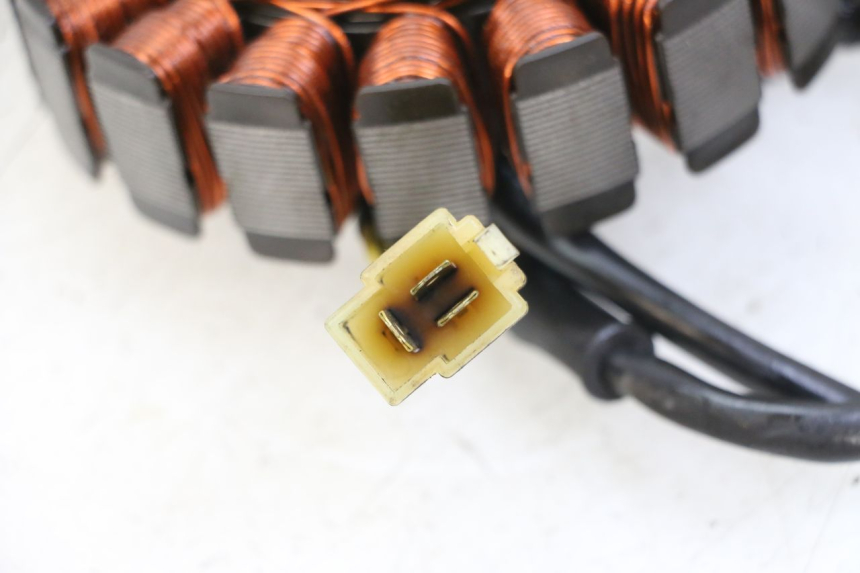 photo de STATORE HONDA VT C2 SHADOW 750 (1997 - 2001) - Primo piano tecnico