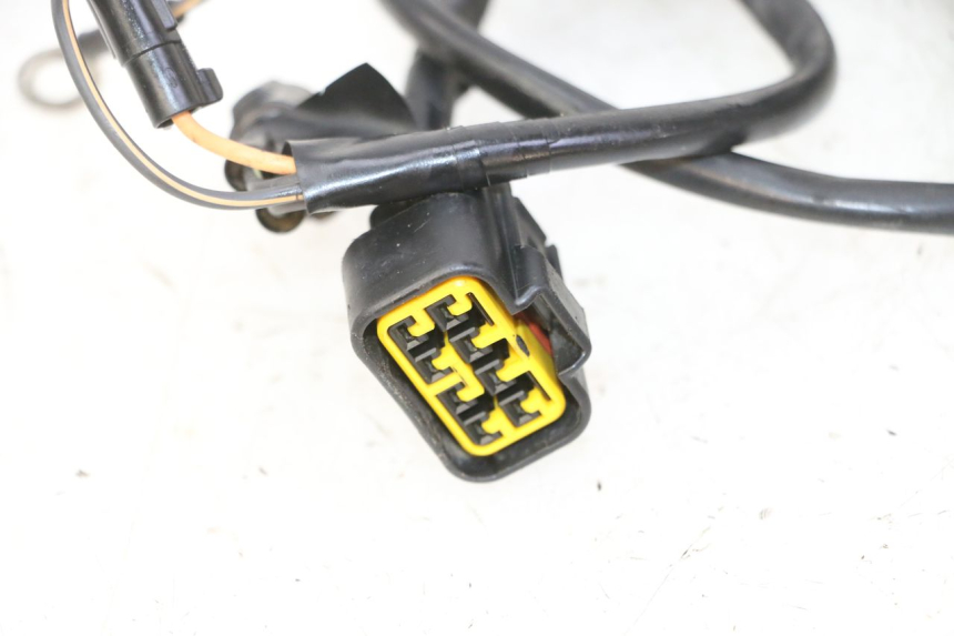 photo de STATORE KAWASAKI KX 85 (2014 - 2021) - Marcature e riferimenti originali