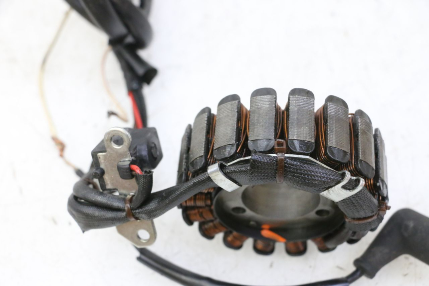 photo de STATOR PIAGGIO MP3 RL 250 (2006 - 2010) - Stato della superficie e materiale