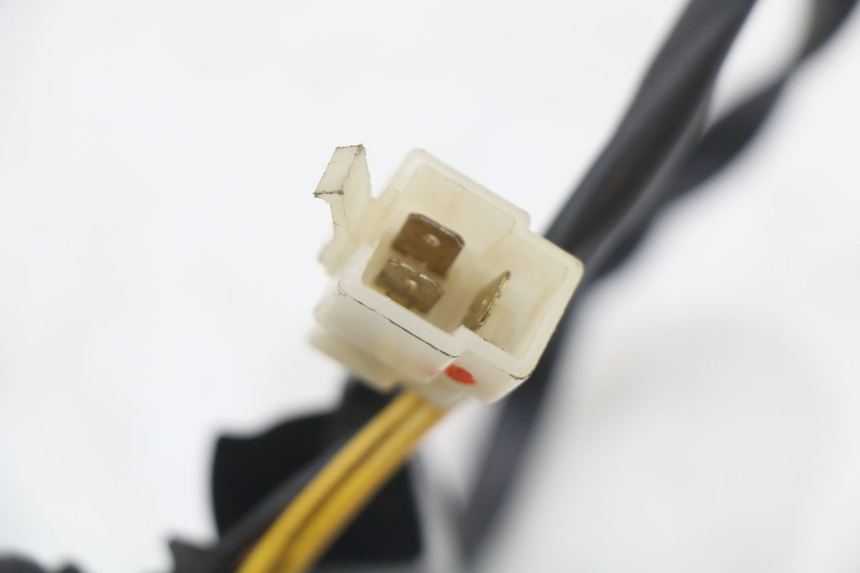 photo de STATOR REGAL RAPTOR RAXTER 2 125 (2007 - 2015) - Dettagli dei punti di fissaggio