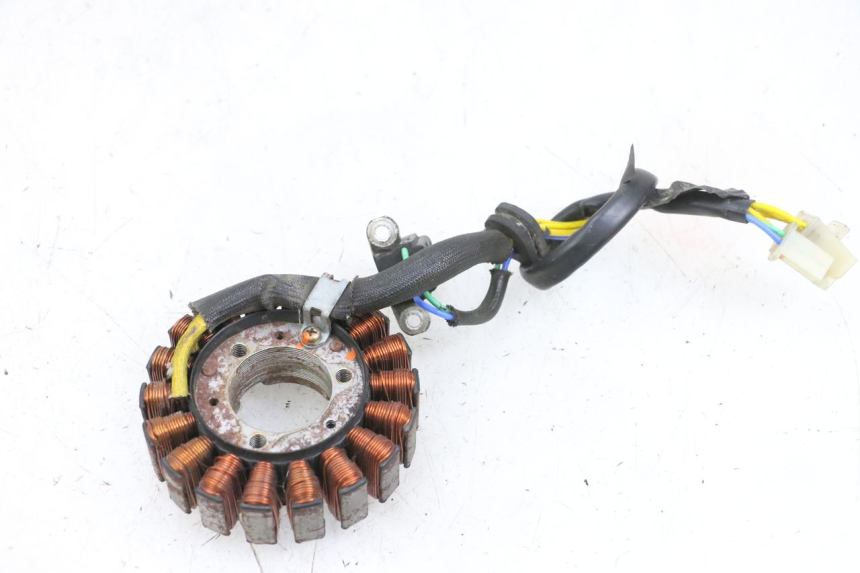 photo de STATORE DAELIM S1 125 (2007 - 2016) - Dettaglio del componente