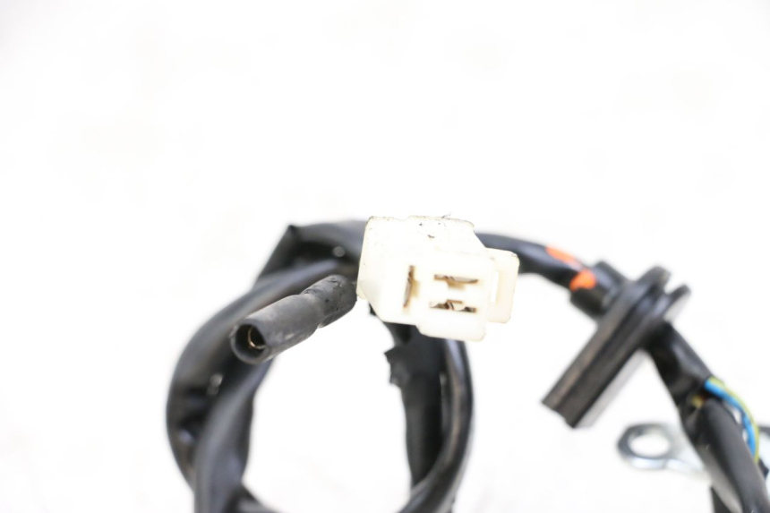 photo de STATORE PEUGEOT SPEEDFIGHT 4 2T 50 (2015 - 2019) - Vista d'insieme del prodotto