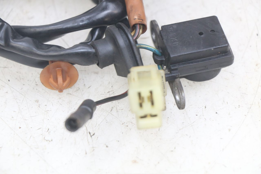 photo de STATOR PEUGEOT SPEEDFIGHT LC 50 (1996 - 2002) - Primo piano tecnico