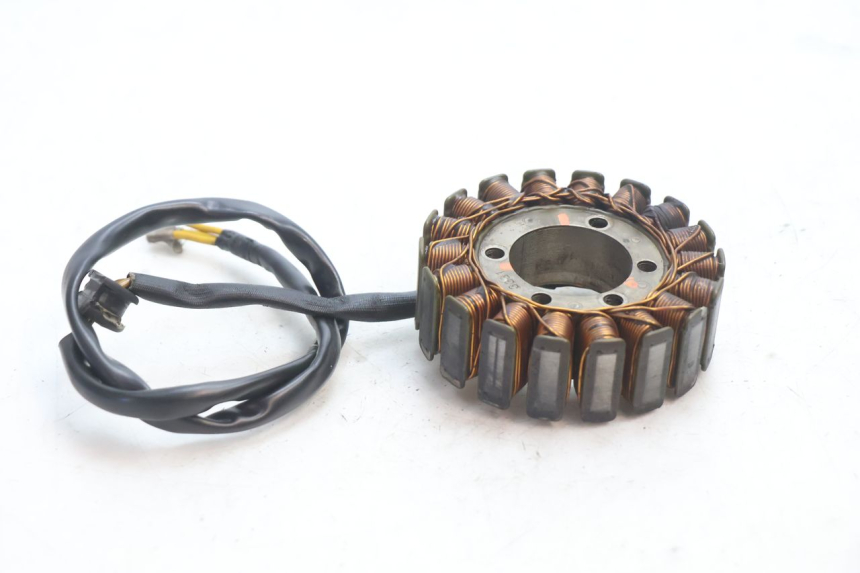 photo de STATORE DUCATI SS IE DS CARENEE 1000 (2002 - 2006) - Dettaglio del componente