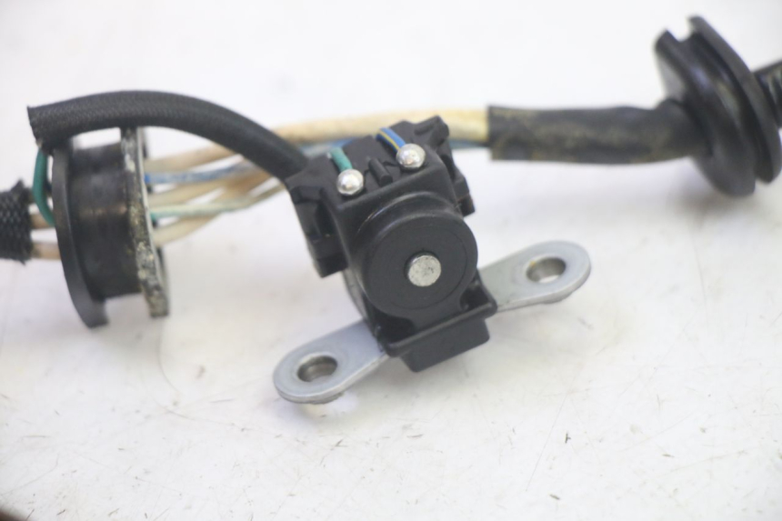 photo de STATORE YAMAHA TDM ABS 900 (2002 - 2014) - Altra angolazione