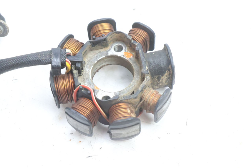 photo de STATORE HUSABERG TE 250 (2011 - 2014) - Dettaglio del componente