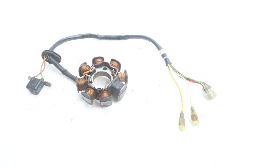 photo de STATORE HUSABERG TE 250 (2011 - 2014) - Primo piano tecnico