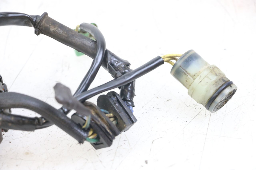 photo de STATOR HONDA TRX 300 (1988 - 2000) - Dettaglio del componente