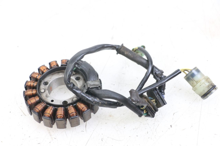 photo de STATOR HONDA TRX 300 (1988 - 2000) - Zoom sullo stato d'uso