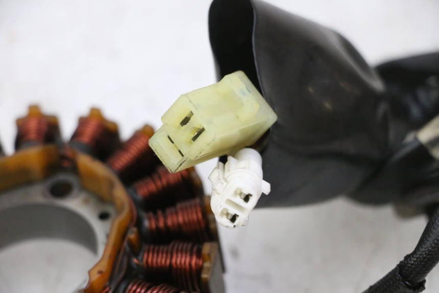 photo de STATORE YAMAHA X-MAX XMAX 250 (2006 - 2009) - Vista d'insieme del prodotto