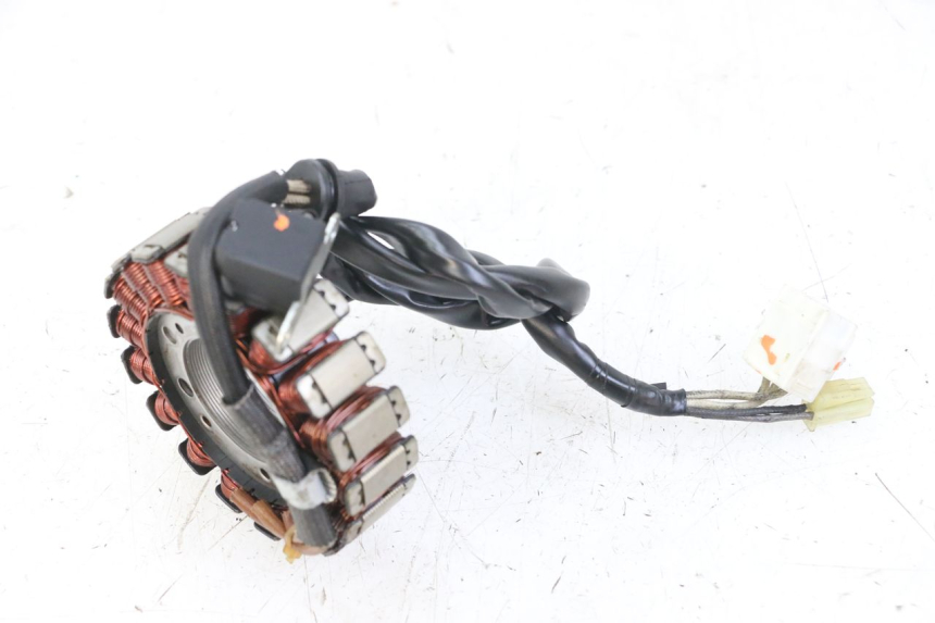 photo de STATORE YAMAHA FZS FAZER 600 (2001 - 2003) - Dettaglio del componente