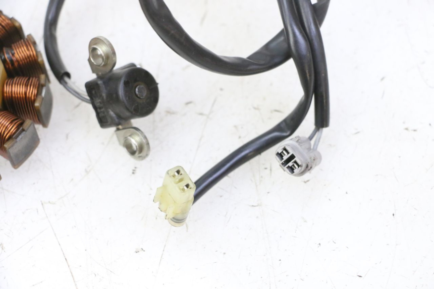 photo de STATORE YAMAHA YZ-F YZF 250 (2014 - 2018) - Primo piano tecnico