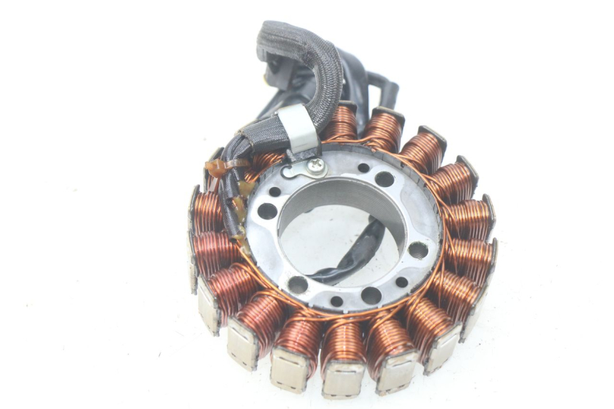 photo de STATOR KAWASAKI Z S 750 (2003 - 2006) - Dettaglio del componente