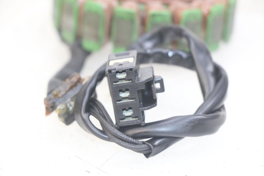 photo de STATOR KAWASAKI Z 750 (2007 - 2013) - Dettagli dei punti di fissaggio