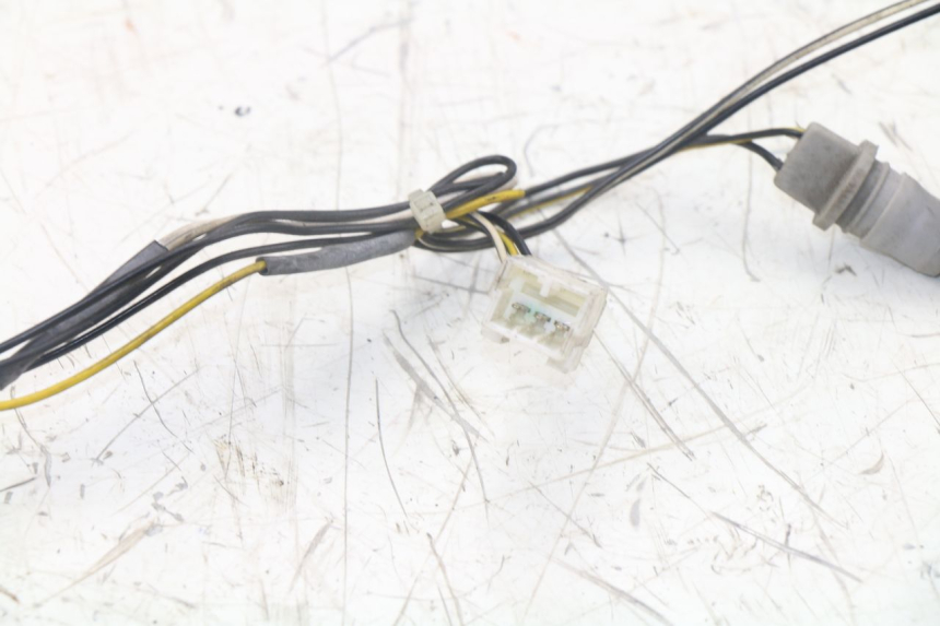 photo de SUPPORTO LAMPADINA PIAGGIO XEVO - X EVO 125 (2007 - 2017) - Dettaglio del componente