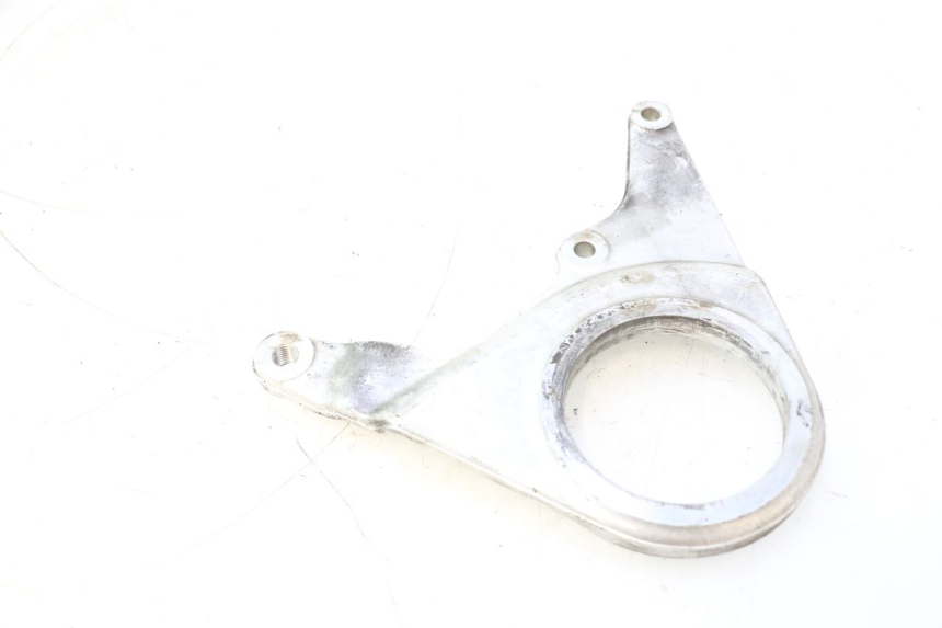 photo de SUPPORTO PINZA FRENO POSTERIORE HONDA VFR FI RC46 800 (1998 - 2001) - Dettaglio del componente