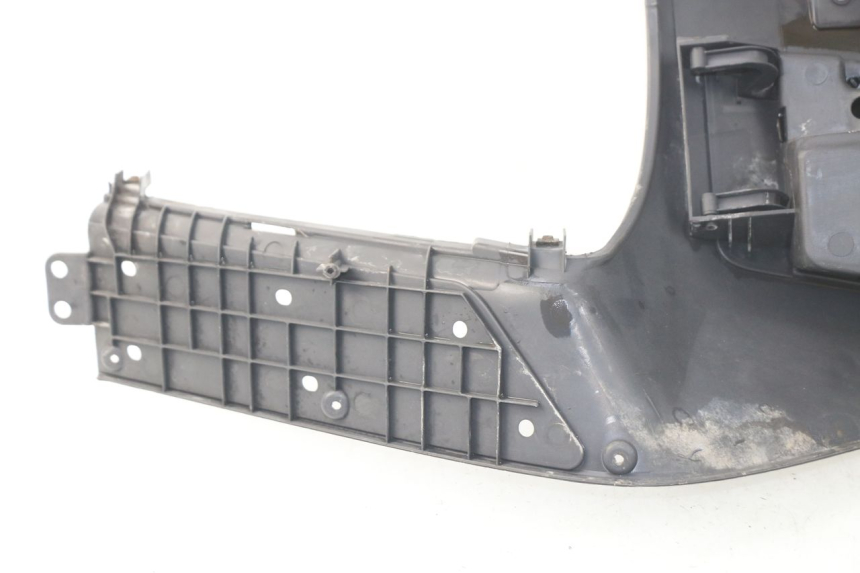 photo de RETROSCUDO HONDA FES PANTHEON 125 (2003 - 2007) - Primo piano tecnico