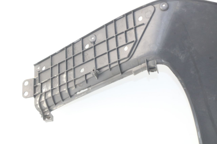 photo de RETROSCUDO HONDA FES PANTHEON 125 (2003 - 2007) - Vista d'insieme del prodotto