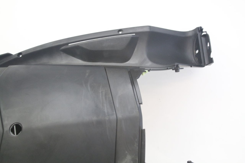 photo de RETROSCUDO PEUGEOT GEOPOLIS RS 125 (2007 - 2009) - Altra vista dell'articolo