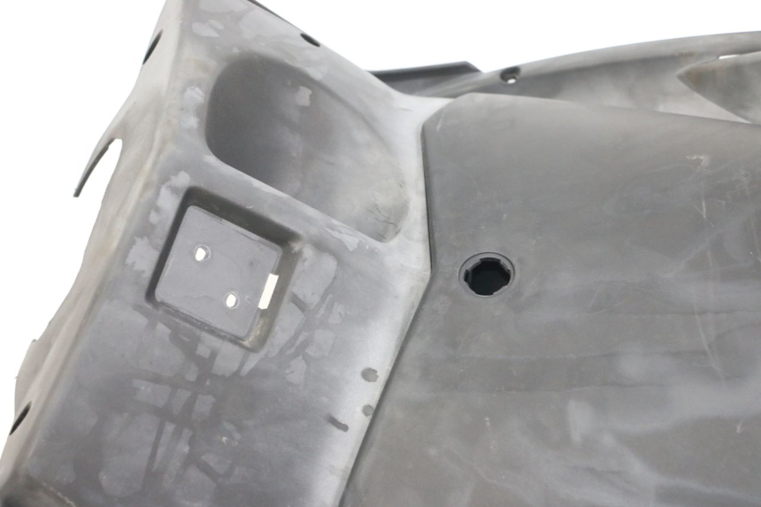 photo de RETROSCUDO PEUGEOT GEOPOLIS RS 125 (2007 - 2009) - Caratteristiche distintive