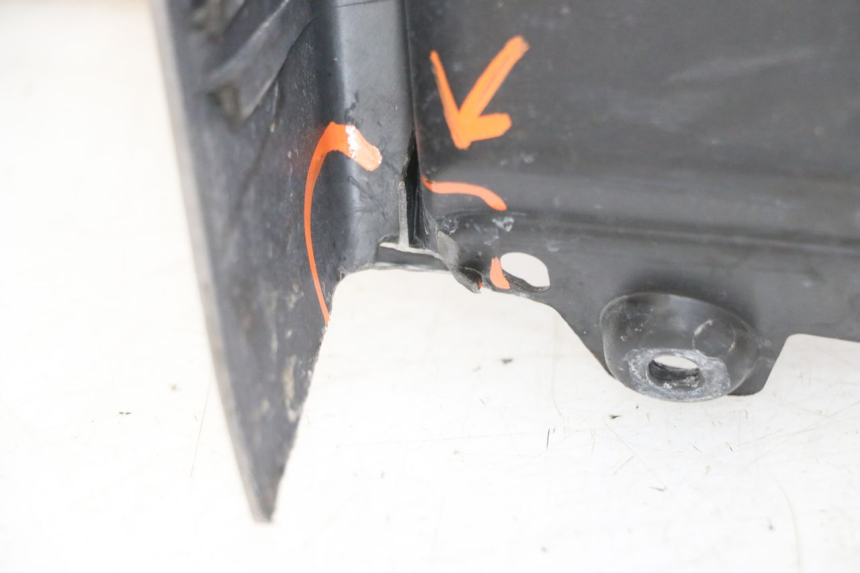 photo de RETROSCUDO PIAGGIO MP3 RL 250 (2006 - 2010) - Primo piano tecnico