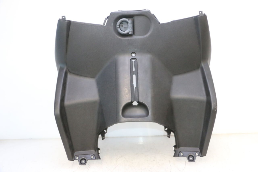 photo de RETROSCUDO PIAGGIO MP3 RL 250 (2006 - 2010) - Vista principale
